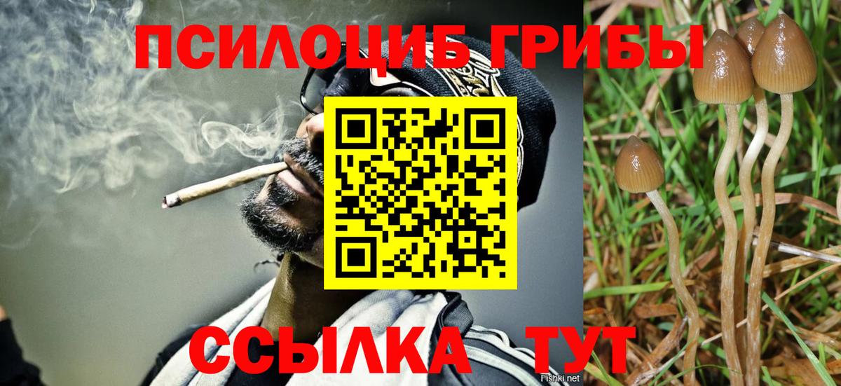 Псилоцибиновые грибы прущие грибы  Псилоцибиновые грибы Psilocybine cubensis  Вход с VPN  Скопин 